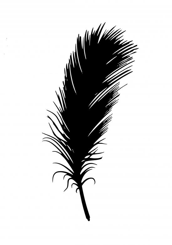 Free stock image of Feather Silhouette created by mohamed hassan