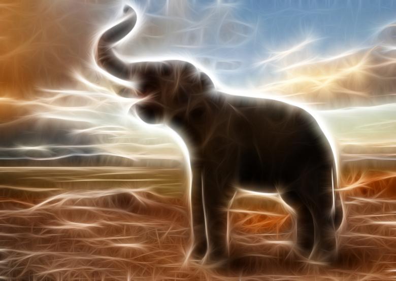 Free stock image of Glowing elephant artwork created by archy-one