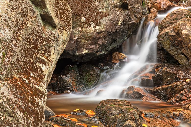 Free stock image of Fluid Frame of Hadlock Brook created by Nicolas Raymond