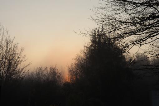 Wood fire or sunrise? - Free Stock Photo
