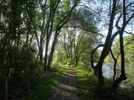 Free Stock Photo of Gorgeous pathway on the riverside