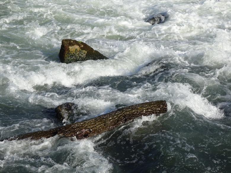 Free stock image of Tree trunk in the furious stream... created by GAIMARD Jacques