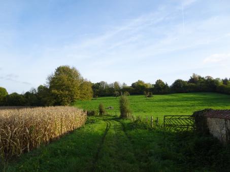 Free Stock Photo of Typical early autumn landscape