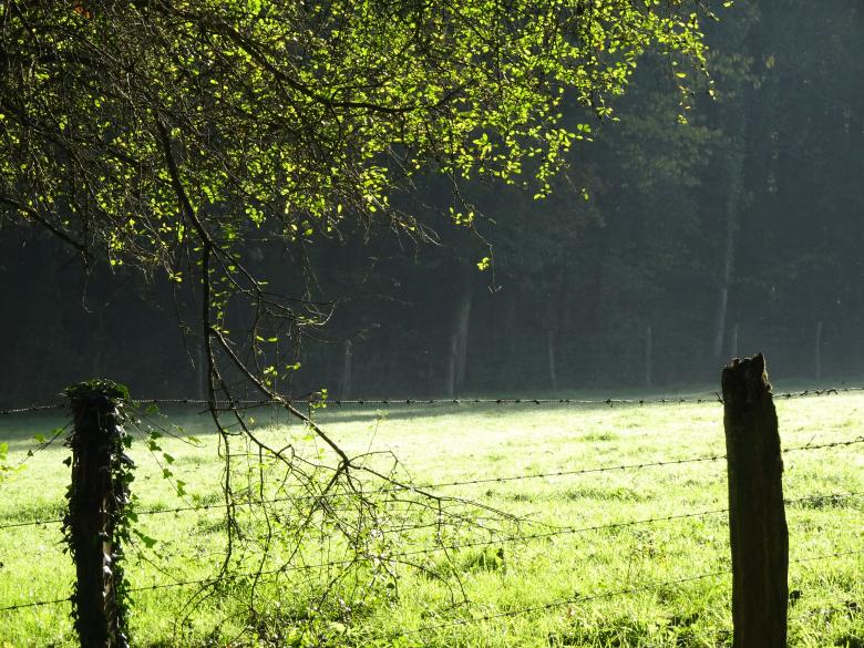 Free stock image of Early morning bright light created by GAIMARD Jacques
