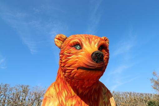 Free Stock Photo of Giant silk bear in museum of natural history