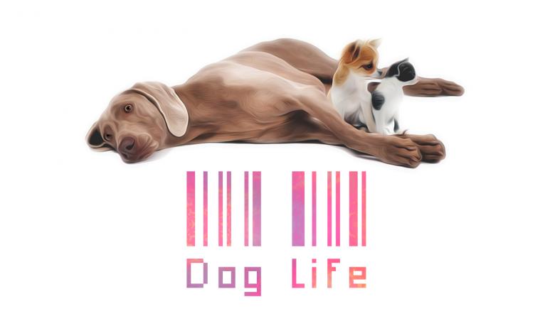 Free stock image of Dog life created by archy-one