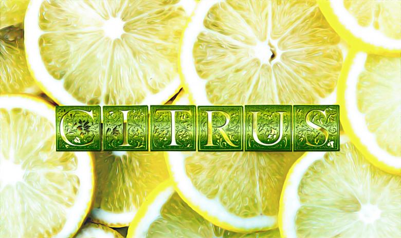 Free stock image of Citrus created by archy-one
