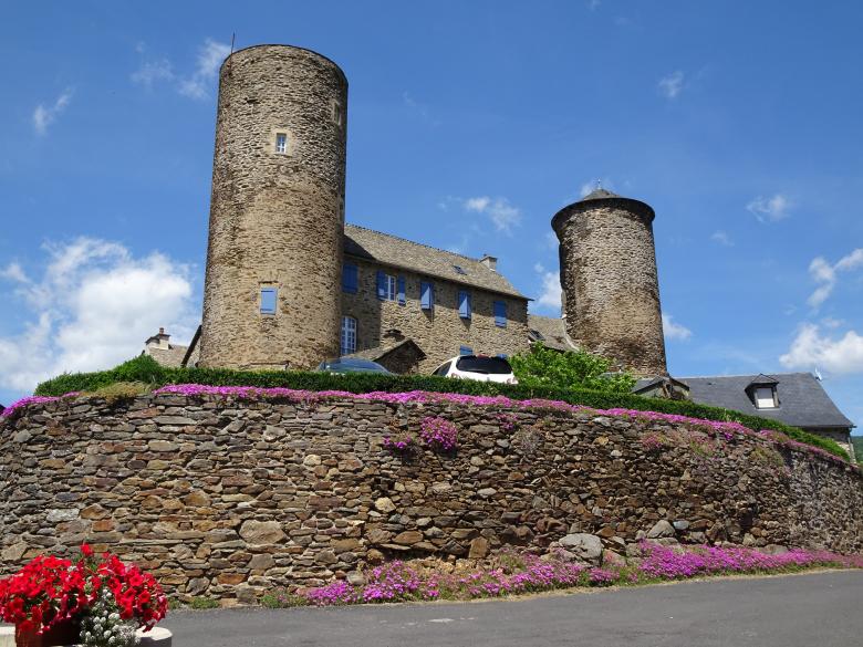 Free stock image of blooming succulents under the castle created by GAIMARD Jacques