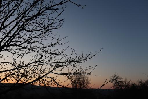 Cold but nice sunrise... - Free Stock Photo