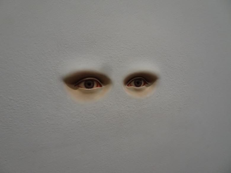Free stock image of Eyewitness created by GAIMARD Jacques