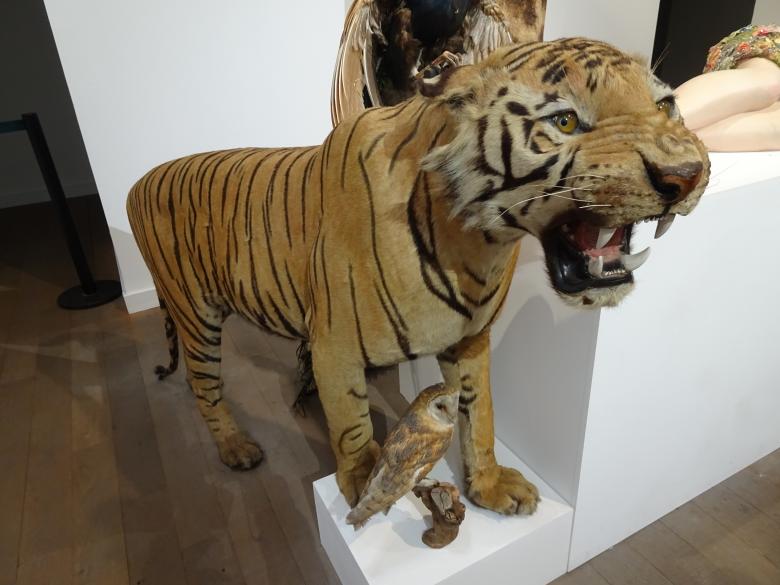 Free stock image of Tiger and his best buddy... created by GAIMARD Jacques