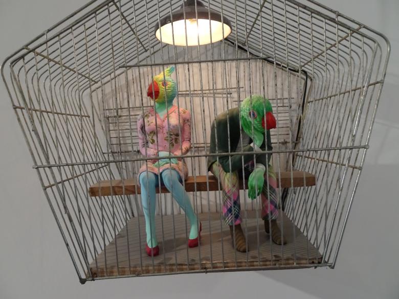 Free stock image of Funny birds! created by GAIMARD Jacques