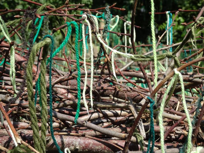 Free stock image of Wool threads hanging. Garden design and modern art. created by GAIMARD Jacques