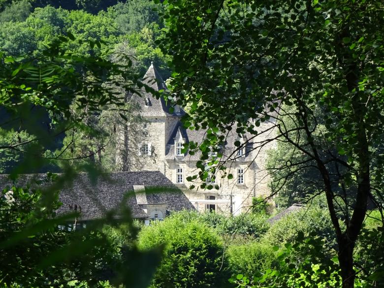Free stock image of Secret beauty behind a branches curtain created by GAIMARD Jacques