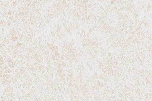 Free Stock Photo of White Grass Grunge Texture