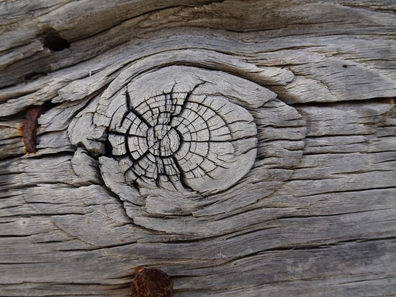 Free stock image of Very old wood board created by GAIMARD Jacques