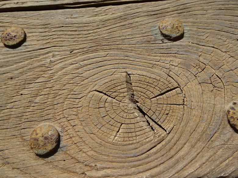 Free stock image of Wood Board Texture created by GAIMARD Jacques