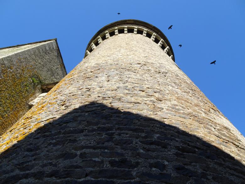 Free stock image of As high as the birds! created by GAIMARD Jacques
