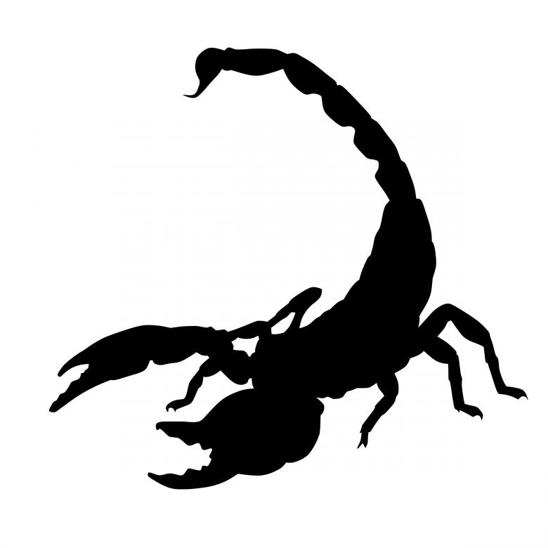 Free stock image of Scorpion Silhouette created by mohamed hassan