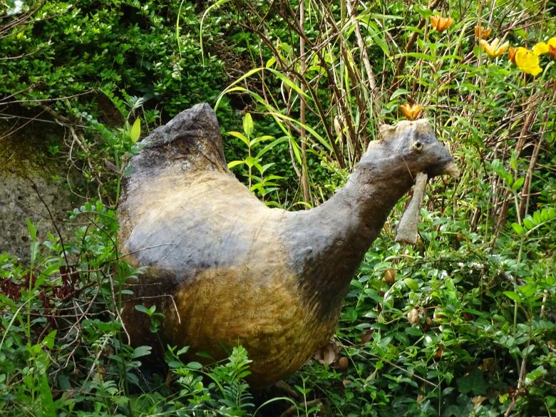 Free stock image of Wood hen with straw in its beak created by GAIMARD Jacques