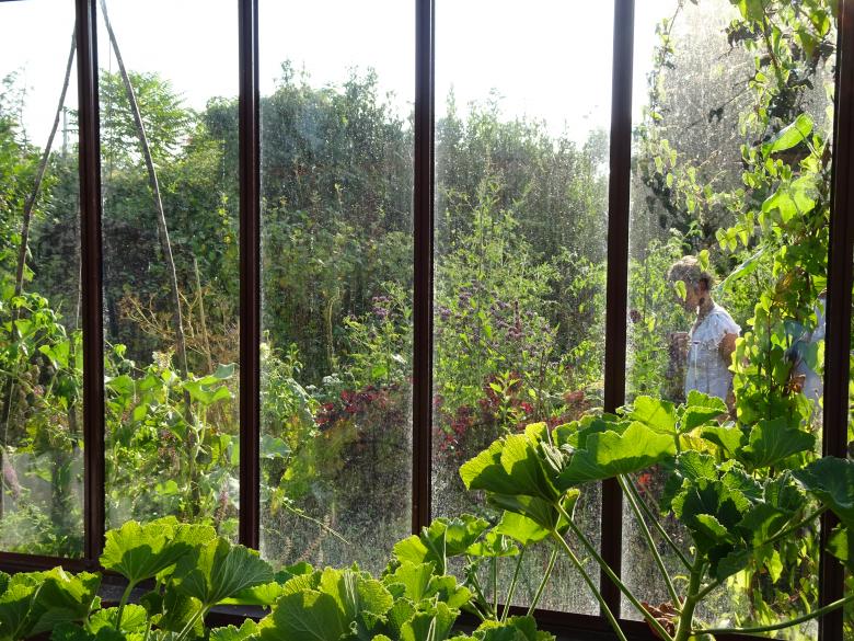 Free stock image of Very romantic greenhouse... created by GAIMARD Jacques