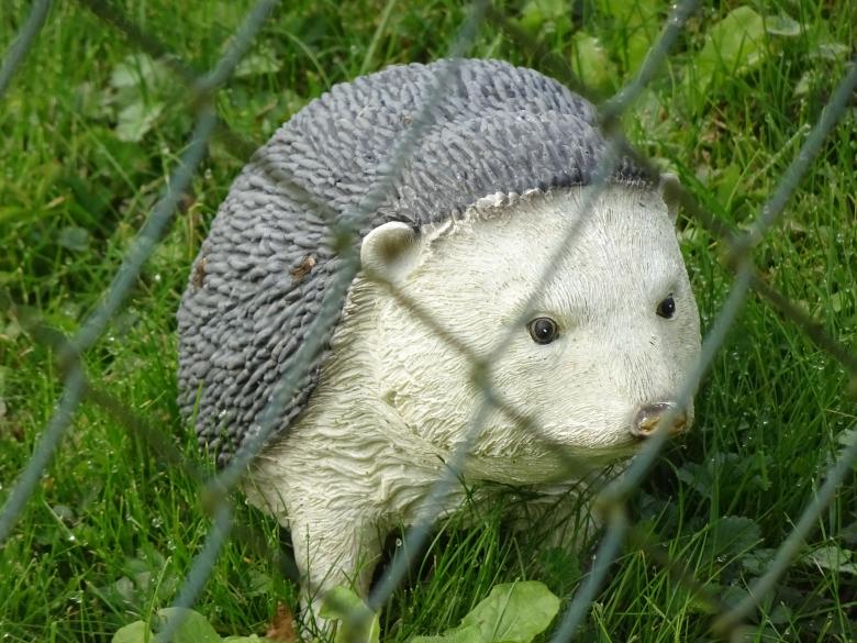 Free stock image of Hi!! I'm Arthur, the hedgehog... created by GAIMARD Jacques