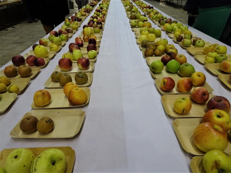 Free stock image of An apple a day for... The whole year!! created by GAIMARD Jacques