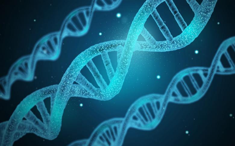 Free stock image of DNA - Genetics - Genes created by Jack Moreh