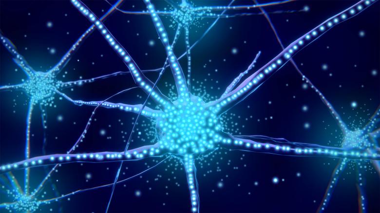 Free stock image of Neurons and Neurotransmitters created by Jack Moreh