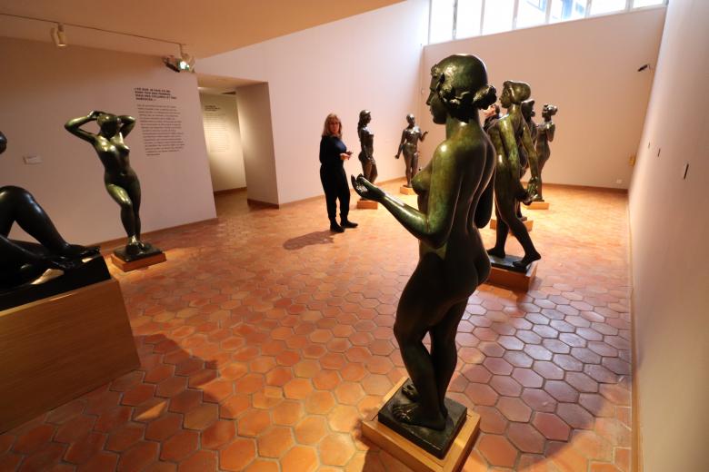 Free stock image of Visitor admiring the artist's masterpieces created by GAIMARD Jacques