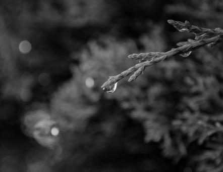 Simplicity - Free Stock Photo