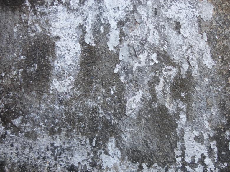 Free stock image of White and Gray Grunge Wall Texture created by Chekokiart