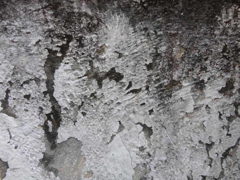 Free stock image of Grunge Abstract Wall Texture created by Chekokiart