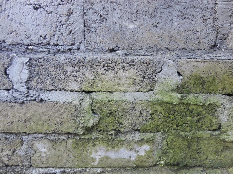 Free stock image of Old Brick Wall Texture created by Chekokiart