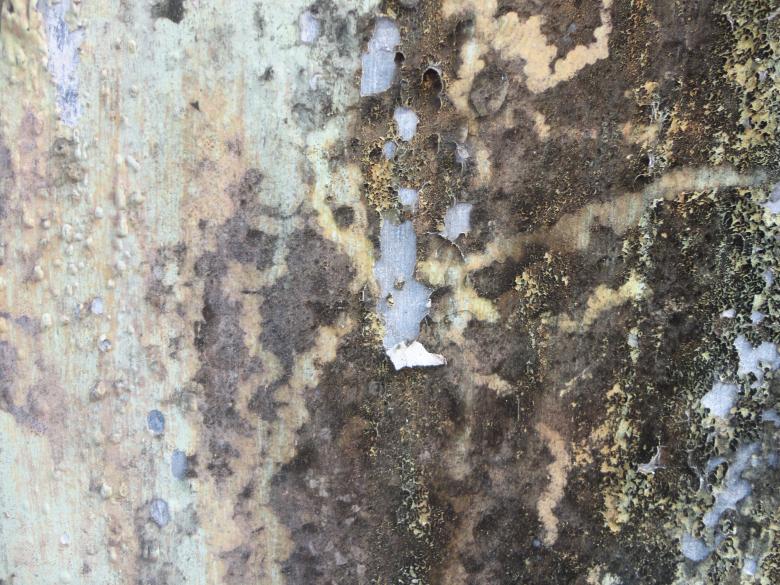 Free stock image of Grunge Peeling Wall Texture created by Chekokiart