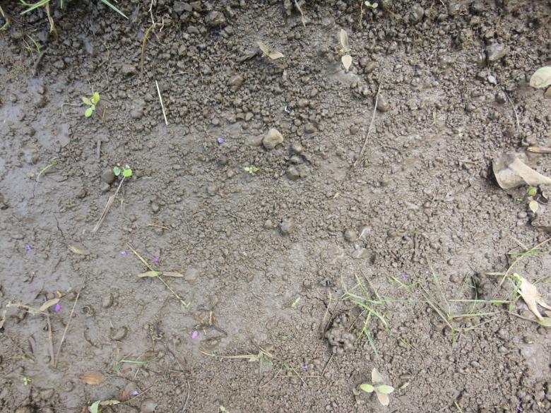 Free stock image of Soil background created by Chekokiart
