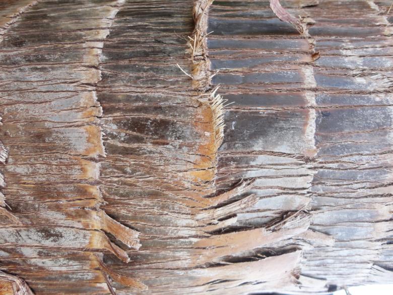 Free stock image of Wooden background created by Chekokiart