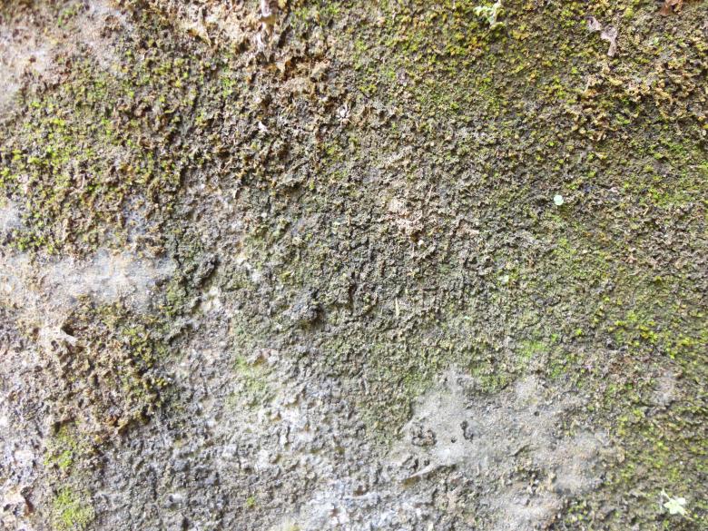 Free stock image of Grunge wall texture background created by Chekokiart