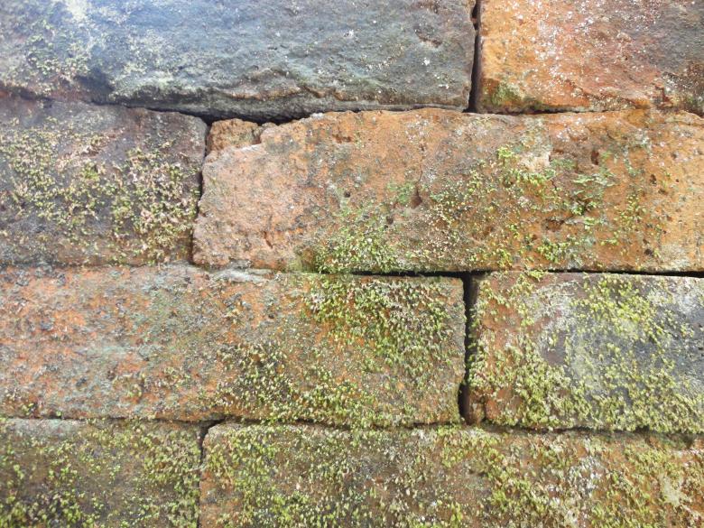 Free stock image of Brick wall texture background created by Chekokiart