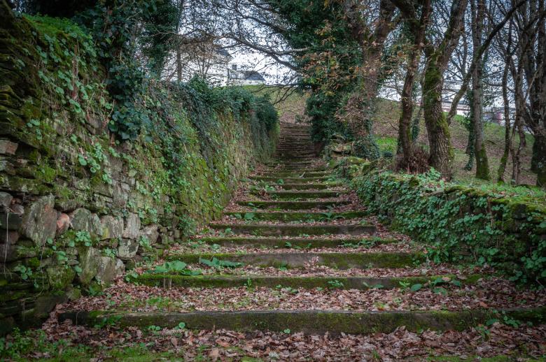 Free stock image of Green stairway created by PaSoNeCa