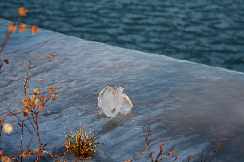 Free stock image of In the captivity of the ice created by Kala Manó