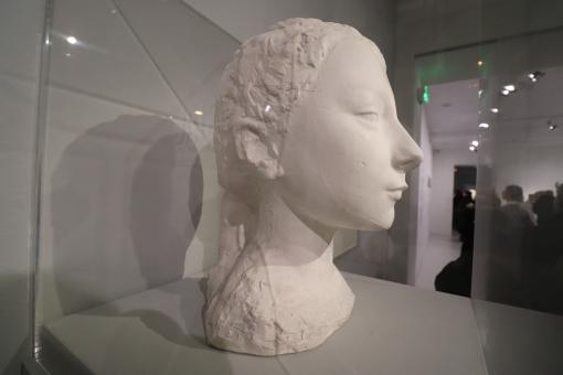 Free Stock Photo of Young woman head sculpture
