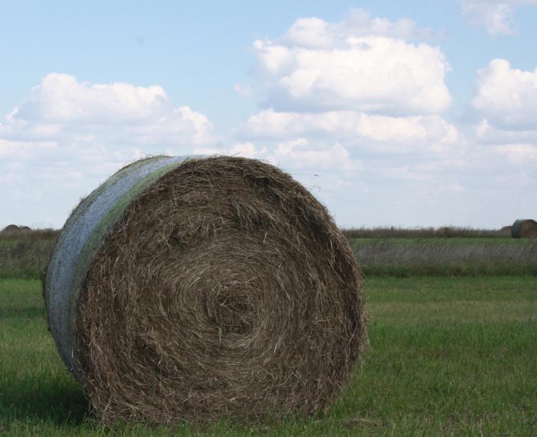 Free stock image of Haystack created by Kala Manó