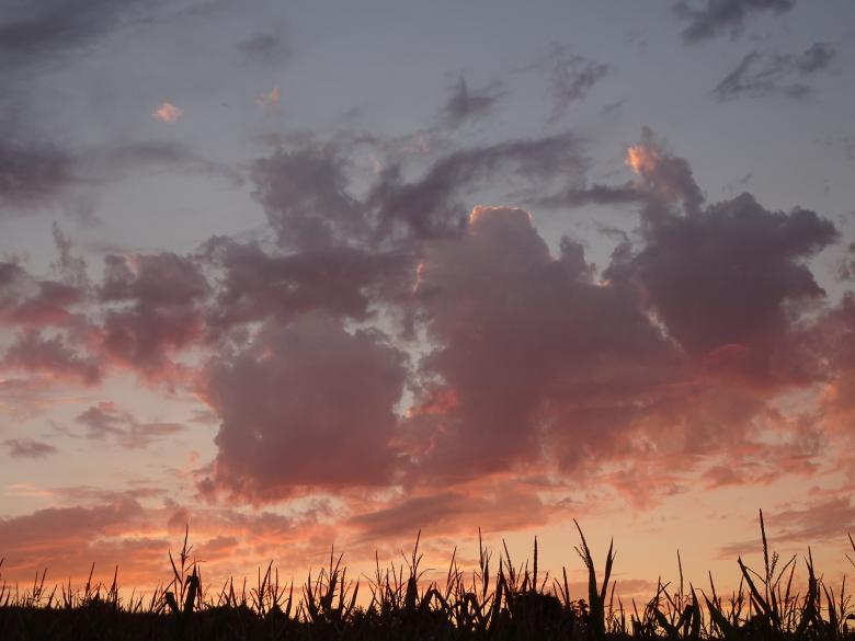 Free stock image of Close-up on a "pink" cloud during sunrise created by GAIMARD Jacques