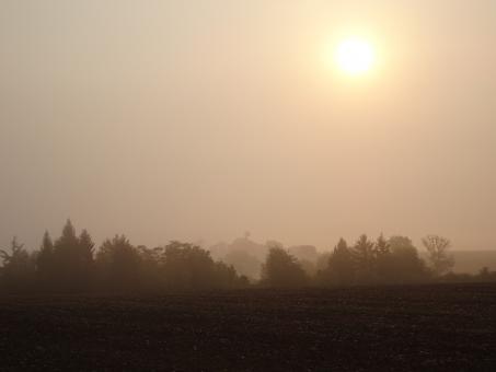 Foggy sunrise in the countryside - Free Stock Photo