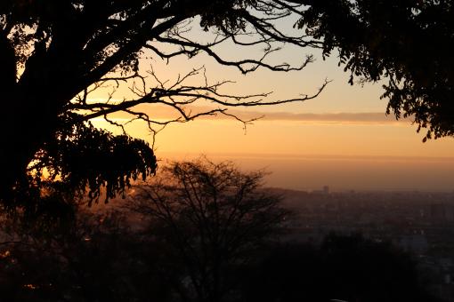 View from the 