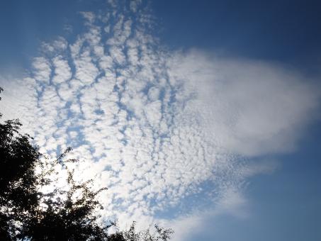 Fleecy clouds floating by... - Free Stock Photo
