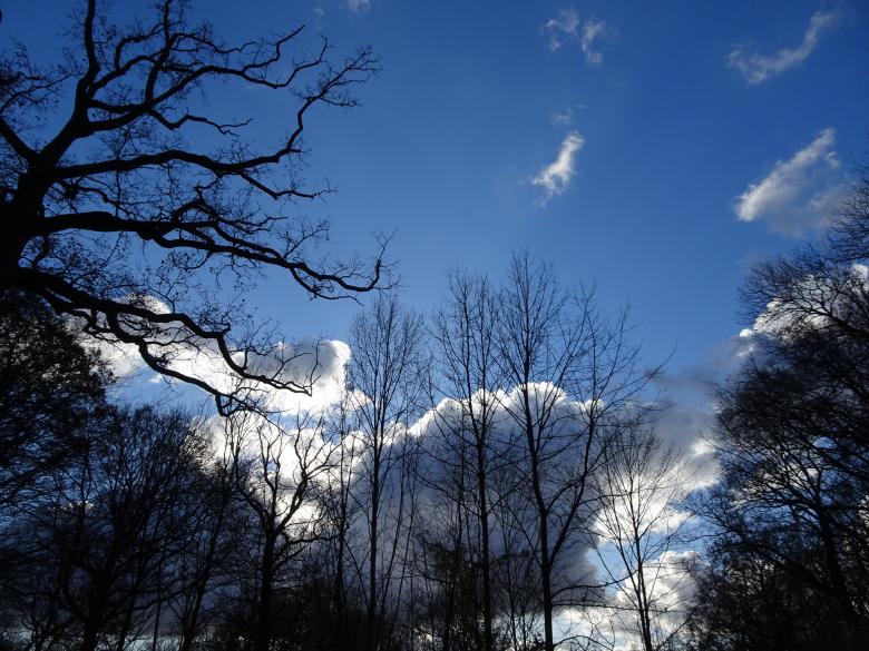 Free stock image of Hidden sun in winter created by GAIMARD Jacques