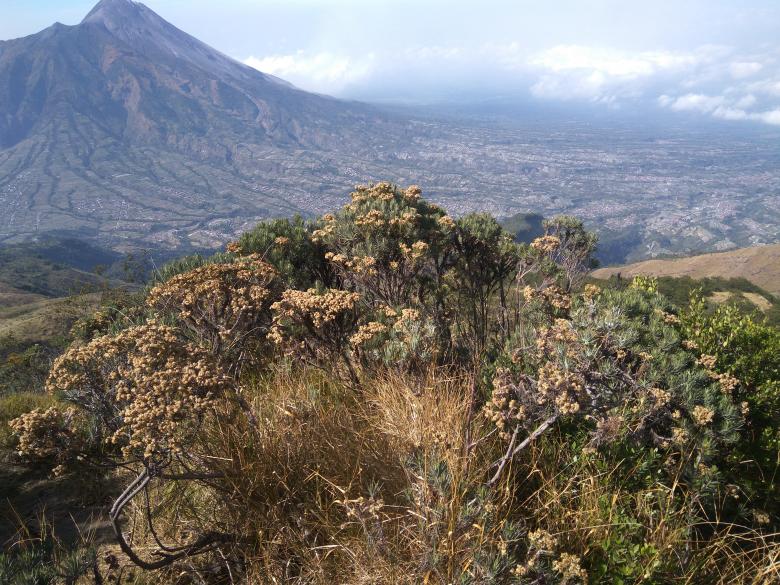 Free stock image of Merapi Mountain From Merbabu created by Toyoong Digital