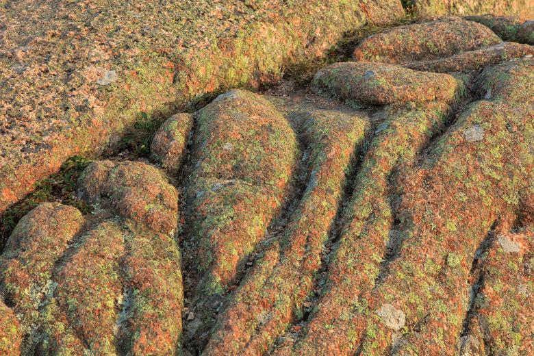 Free stock image of Acadia Brain Stone created by Nicolas Raymond